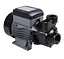 Насос поверхневий вихровий Thermo Alliance QBm70 - мініатюра 1