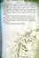 Коти-вояки. Таємниці Кланів. Путівник по серії - миниатюра 5
