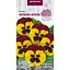 Насіння Фіалка Насіння України Червоні крила 0.05 г (750200) - мініатюра 1