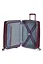 Чемодан American Tourister SOUNDBOX WILD 67 см CHERRY 67х46,5х29(32) 32G*50002 - миниатюра 2