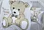 Дитячий комплект (Teddy grey) PrimaTeks Детский pbe0043031 - мініатюра 3