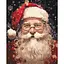Картина по номерам "Волшебный Санта" 10150-AC 40х50 см - миниатюра 1