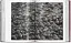 Sebastiao Salgado. Genesis. 45th Edition - миниатюра 13