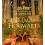 Harry Potter. Christmas at Hogwarts - Ролінґ Джоан - миниатюра 1