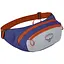 Поясная сумка Osprey Daylite Waist S21 Silver Lining (1054-009.3404) - миниатюра 1