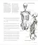 Anatomy for the Artist - мініатюра 5