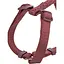 Шлея Trixie Premium H-harness для собак M-L 52-75 см 20 мм бордовый - миниатюра 4