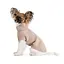 Куртка Pet Fashion Bony для собак, XXS білий, зелений - мініатюра 3