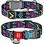 Нашийник для собак Waudog Nylon нейлоновий c QR паспортом, малюнок Інді, пластиковий фастекс, XL, Ш 25 мм, Дов 35-58 см - мініатюра 1