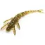 Силікон FishUP Flit 2" (9шт) #074 - Green Pumpkin Seed - мініатюра 2
