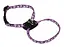 Coastal Li`l Pals Dog Harnes костал литтл пелс шлея для собак, 0.8х15-25 см - миниатюра 1