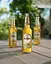Уцінка. Пиво Warsteiner Extra світле 2.5% 0.33 л  - мініатюра 4