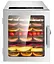 Дегідратор сушарка Food Dehydrator LT-08 для овочів фруктів м'яса грибів 8 лотків 500Вт - мініатюра 1