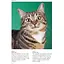 Cat Breeds: Characteristics, Breeds, Care, Origins - Фотопулос Джуліанна - мініатюра 3
