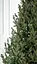 Ялинка Віденська штучна з густою хвоєю (Зелена) 1.9м - мініатюра 4