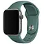 Силіконовий ремінець для Apple Watch 38/40/41/42mm(ser.10) Зелений / Pine green - мініатюра 1