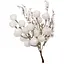 Декоративная искусственная ветка с имитацией Белый 23 см - миниатюра 1
