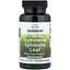 Джимнема сильвестра Swanson Gymnema Sylvestre Leaf 400 mg Full Spectrum 100 капсул - мініатюра 1