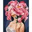 Картина за номерами "Ніжність та грація" ©Kira Corporal KHO5096 40х50 см Ideyka - мініатюра 1