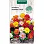 Насіння Жоржина Насіння України Махрова (суміш) 0.2 г (780700) - мініатюра 1