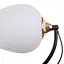 Бра Brille LK-711W/1 E27 BK + FG з мотузковим вимикачем для кабінету залу в спальню передпокій - мініатюра 4