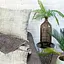 Комплект постельного белья Viluta полуторный ранфорс 19010-pl5070 - миниатюра 3