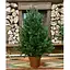 Ялинка Hvoya Traditional лита в горщику 90 см зелена новинка - мініатюра 3