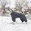 Комбінезон Pet Fashion Cold для такс, розмір M, сірий - мініатюра 5