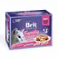 Вологий корм для кішок Brit Premium Cat Family Plate Jelly pouches 1020 г (асорти із 4 смаків сімейна) - мініатюра 1