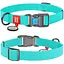 Нашийник для собак Waudog Waterproof водостійкий з QR-паспортом, що світиться, пластикова пряжка-фастекс, L, Ш 25 мм, Дов 31-49 см - мініатюра 1