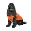 Жилет Pet Fashion Spring для собак, розмір XS2, помаранчевий - мініатюра 7