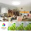 Светодиодный потолочный светильник с дымингом, 24 Вт 2400 LM Smart RGB светодиодный потолочный светильник, IP44 лампа - миниатюра 4