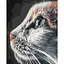 Картина по номерам Brushme Котопрофиль BS51792 40х50 см - миниатюра 1