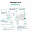 Підгузки Offspring Pat the Parrot розмір S 3-6 кг 48 шт. (DP-OI-FAT-S48P-PTP) - мініатюра 8