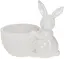 Декоративное кашпо Кролик с корзинкой Bona 16х10.5х14 см sad0001443 - миниатюра 1