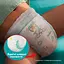 Уценка. Набор подгузники-трусики Pampers Active Baby Pants 3 (6-11 кг) 204 шт. - миниатюра 6