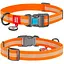 Нашийник для собак Waudog Waterproof водостійкий з QR-паспортом світловідбиваючий Розмір M - мініатюра 1
