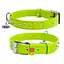 Нашийник для собак шкіряний Waudog Glamour з QR-паспортом з клейовими стразами Ш 25 мм Д 38-49 см салатовий - мініатюра 1