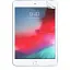 Захисна плівка DK для Apple iPad mini 7.9" 4gen 2015 (A1538 / A1550) (014958) (глянсова) - мініатюра 2