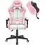 Компьютерное кресло Hell's Chair HC-1004 Rainbow Pink - миниатюра 1
