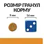 Сухий корм Hill's Prescription Diet ActivBiome+ Kidney Defense для котів підтримання функції нірок, з куркою, 0,4 кг - мініатюра 6