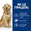 Сухий корм Hill's Prescription Diet j/d для собак догляд за суглобами з куркою 12 кг - мініатюра 7