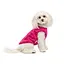 Боротьба Kale Pet Fashion для собак XS малина - мініатюра 2