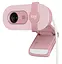 Веб-камера Logitech Brio 100 Full HD Rose (960-001623) - миниатюра 1