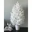 Елка Hvoya Traditional литая в горшке 70 см белая новинка - миниатюра 2