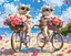 Набор для росписи по номерам Летний велопробег, 40x50 см, КНО6634 - миниатюра 1