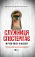 Служниця спостерігає - мініатюра 1