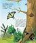 Детская энциклопедия про насекомых 614014 для дошкольников - миниатюра 6