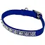 Ошейник для собак Coastal Jeweled 1x25 см (03201_BLU10) - миниатюра 1