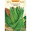 Насіння Квасоля китайська Насіння України Вігна Maxi 10 г (686600) - мініатюра 1